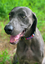 Load image into Gallery viewer, A gray dog with light eyes wears the All the Way Up Beaded Dog Collar by Her Best Foot Forward, a bold handmade Maasai ethical pet accessory from East Africa, while sitting outdoors on grass, mouth open and looking to the side.