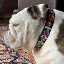 Load image into Gallery viewer, A white and brown bulldog sits indoors on a patterned rug by a dark brown couch, wearing the Tapestry Beaded Dog Collar by Her Best Foot Forward—an intricately handmade Maasai ethical design from East Africa.