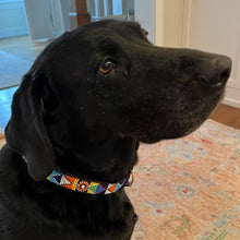 Load image into Gallery viewer, A black dog wearing the Tapestry Beaded Dog Collar from Her Best Foot Forward—an intricate, handmade Maasai design from East Africa—sits indoors on a patterned rug, gazing slightly upward.
