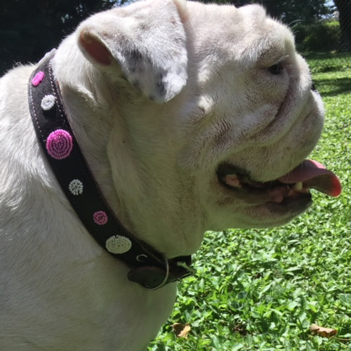 A white bulldog stands on green grass, mouth open and tongue out, wearing the Petunia Pink Beaded Dog Collar by Her Best Foot Forward—a handmade Maasai ethical pet accessory from East Africa. Sunlight highlights its wrinkled face.