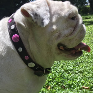 A white bulldog stands on green grass, mouth open and tongue out, wearing the Petunia Pink Beaded Dog Collar by Her Best Foot Forward—a handmade Maasai ethical pet accessory from East Africa. Sunlight highlights its wrinkled face.