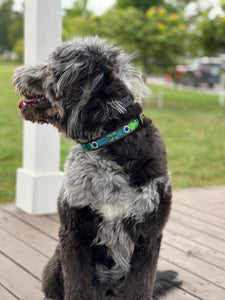 A fluffy black and gray dog sits on a wooden porch wearing the Proud as a Peacock Beaded Dog Collar by Her Best Foot Forward, a vibrant handmade Maasai ethical pet accessory from East Africa. Green grass and trees blur in the background.